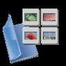 folder