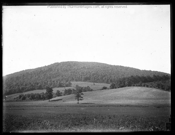 BK 10 Meadow