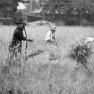 BK 122D Harvesting Wheat