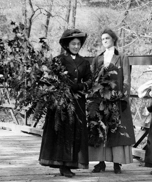 BK 133C Group of Women at Bridge