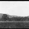 BK 142 Mountain View