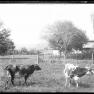 BK 143 Farm Scene