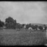 BK 169 Rouzer Farm