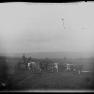 BK 174 Cattle Farm