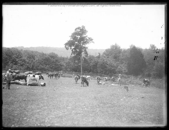 BK 33 Farm Scene