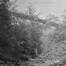 BK 38B Stream and Bridge
