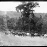 BK 79 Farm Scene