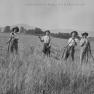 BK 93B Wheat Harvest