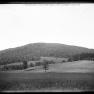 BK 10 Meadow