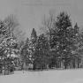 BK 16B Snow Scene