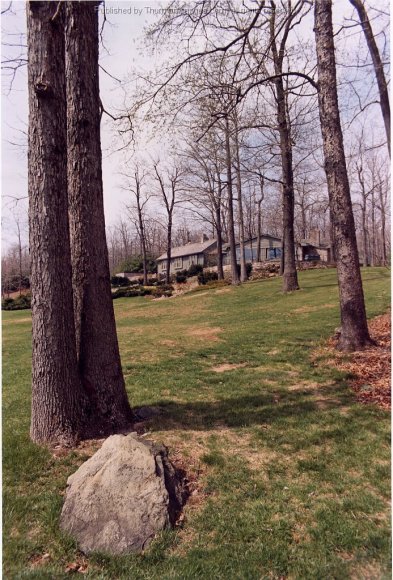 T1969