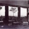 TSUN1950