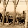 WPA Camp David 1939 JAK 001E