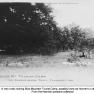 Blue Mtn Tourist Camp H076