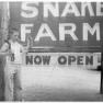 Snake Farm 002 JAK