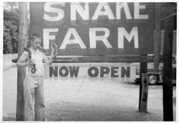 Snake Farm 002 JAK