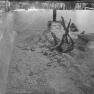 Snake Farm 004A JAK