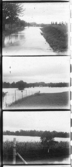 Image1