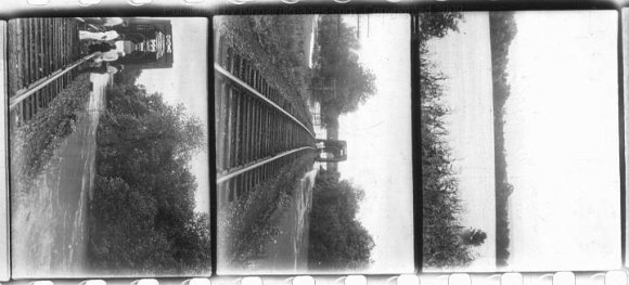 Image4