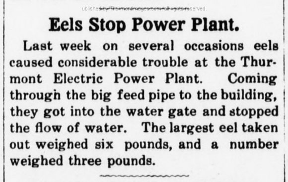 Clipping Clarion 1919-09-18 Pg 4 Eels Stop Electric