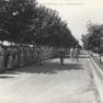 Frederick_Parade_1945_028_AH