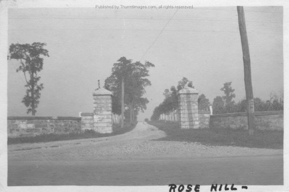 Rosehill 001 RuthP