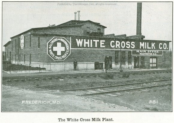 White Cross Milk Co 001