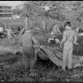 Colorfest_1972_Scouts_Camporee_RH_004