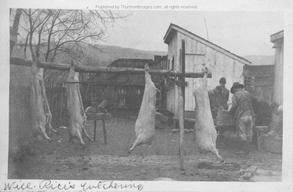 Butchering 001 RuthP 