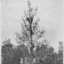 Mountaindale School 001