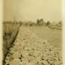 Stone Fence 003 RuthP