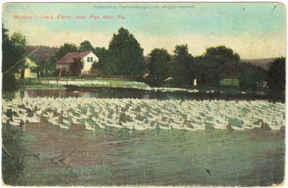 Pen Mar Mentzer's Duck Farm 001A JAK