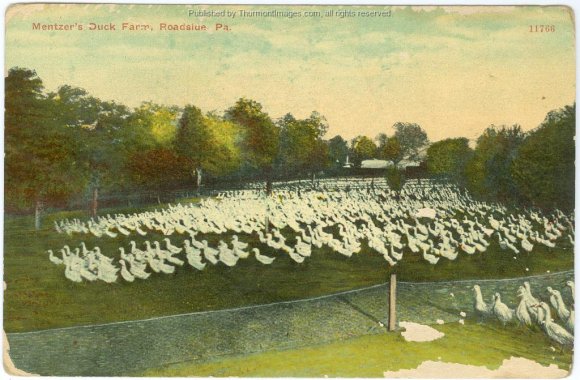 Pen Mar Mentzer's Duck Farm 002A SB