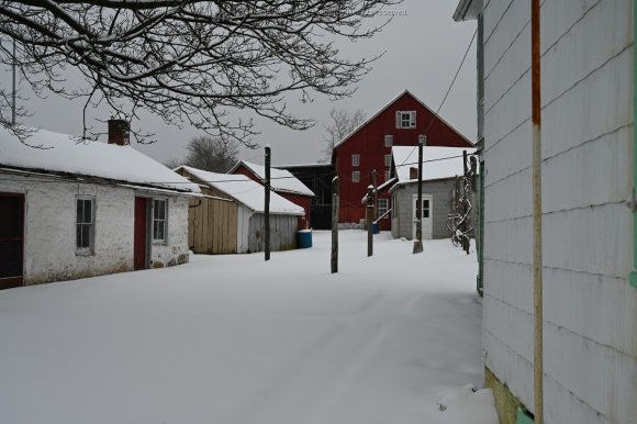 2021-02-01_JAK_0906