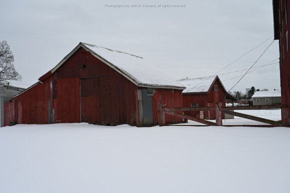 2021-02-07_JAK_1045
