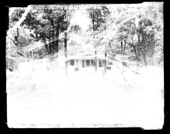 Windy Woods 1954 ELeeB 007