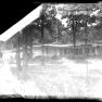Windy Woods 1954-07 ELeeB 013