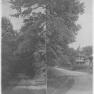 Maple Inn 001 RP