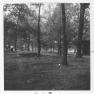 Mountaindale Picnic 001 RP