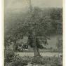 Betrothal Tree 002 THS