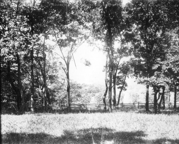 Outdoor Scene 001