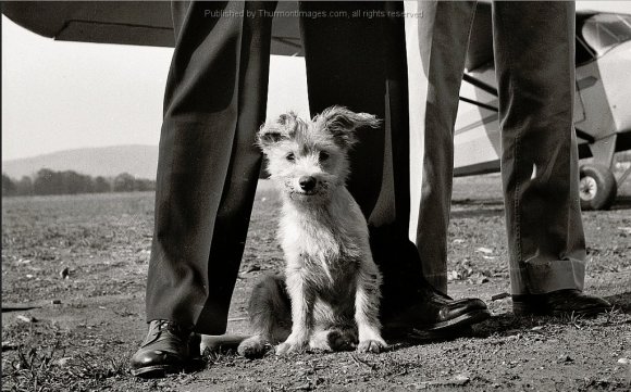 Stevens Airport Greaseball 1943