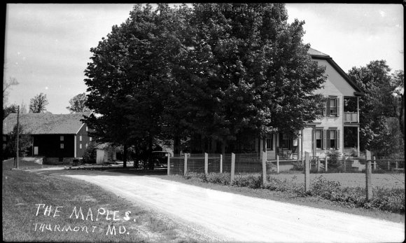 The Maples 001 JAK