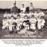 Little League Orioles 1953