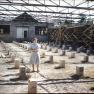 Hoke, Plant Construction 002
