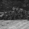 Hoke, Sawmill 008