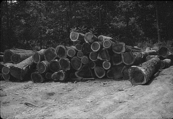 Hoke, Sawmill 008