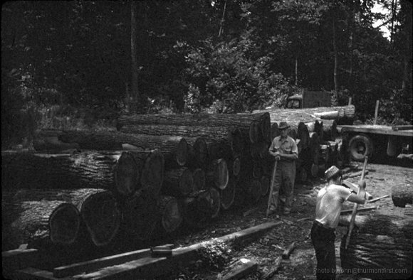 Hoke, Sawmill 010