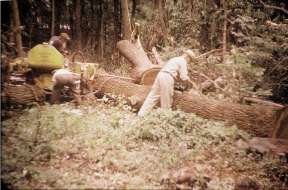 Hoke, Sawmill 012