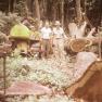 Hoke, Sawmill 013